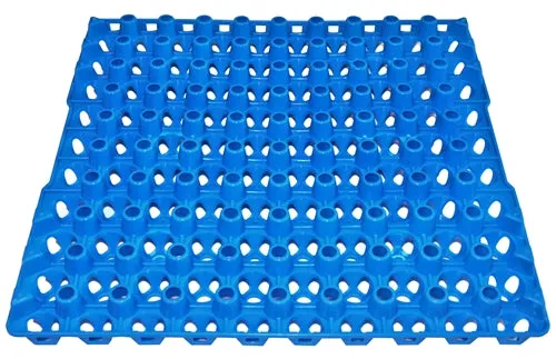24 Pack of 90 Quail, Pigeon, Dove, & Bird Size Egg Trays