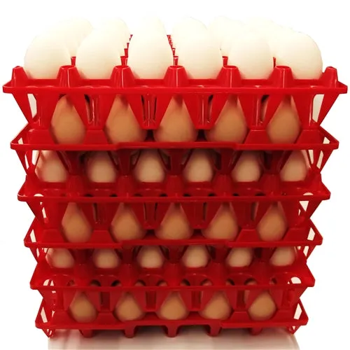 48 Pack of Rite Farm Products 30 Chicken Egg Poly Trays