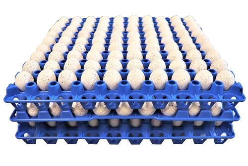 6 Pack of 90 Quail, Pigeon, Dove, & Bird Size Egg Trays