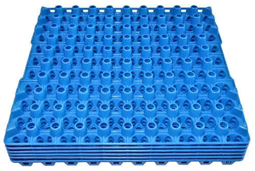 6 Pack of 90 Quail, Pigeon, Dove, & Bird Size Egg Trays