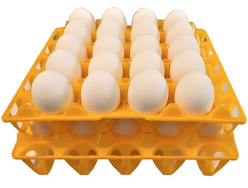 96 Pack of 20 Duck, Goose, Turkey, & Peafowl Size Egg Trays