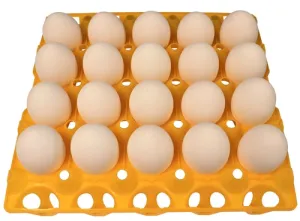 96 Pack of 20 Duck, Goose, Turkey, & Peafowl Size Egg Trays