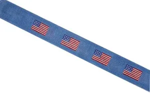 American Flag Belt on Blue