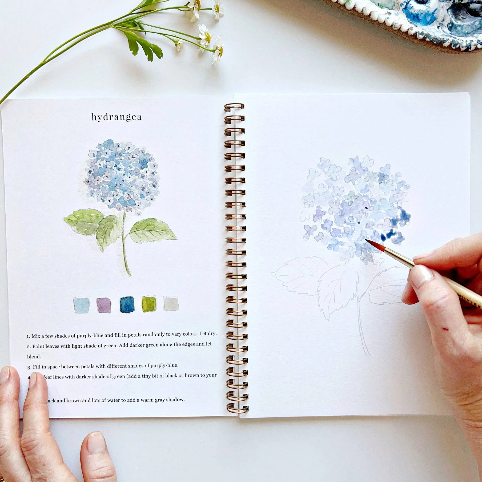 Flowers watercolor workbook by Emily Lex