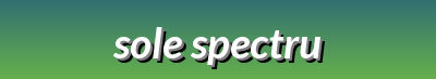 Versatile Footwear for Every Step | Sole Spectrum